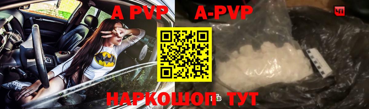 А ПВП СК КРИС Великий Новгород